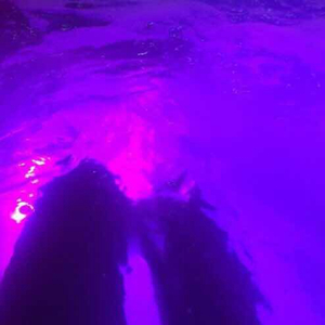 变态 国产 另类 捆绑
