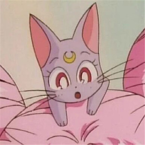 变态 国产 另类 捆绑
