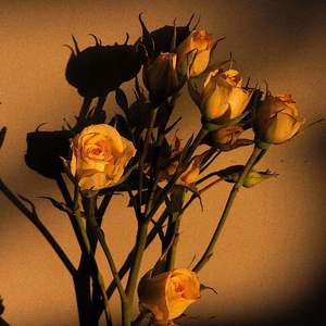 变态 国产 另类 捆绑
