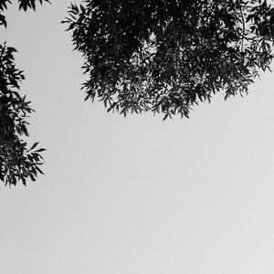 变态 国产 另类 捆绑
